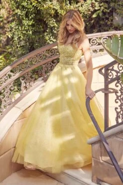 Juliet 268 Embroidered Sparkle Tulle Ball Gown(Embroidered Sparkle Tulle Ball Gown By Juliet 268) -Dress Promotion Store 0004952 268