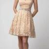 Juno 1047 Embroidered Homecoming Short Dress V-Neck(Embroidered Homecoming Short Dress Champagne V Neck) -Dress Promotion Store 1047 juno champagne