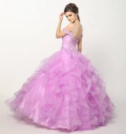 Juliet 1421 Cinderella Ball Gown Ruffled Tulle Cold Shoulder Embroidered Bodice(Lilac Cinderella Ball Gown Ruffled Tulle Cold Shoulder Embroidered Bodice) -Dress Promotion Store 1421 juliet lilac back full 85faa8bf 8647 43d6 9396 c0da0cb9a197