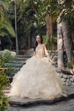 Juliet 1423 A-Line Princess Ball Gown Ruffled Tiered Tulle With Jacket(Champagne Princess Ball Gown Ruffled Tiered Tulle With Jacket)