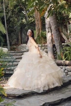 Juliet 1423 A-Line Princess Ball Gown Ruffled Tiered Tulle With Jacket(Champagne Princess Ball Gown Ruffled Tiered Tulle With Jacket) -Dress Promotion Store 1423 juliet champagne side