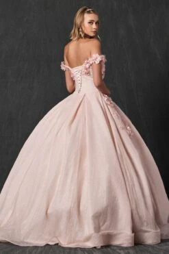 Juliet 1433 Dress Quinceanera Ball Gown 3D Floral Embroidered(Juliet 1433 Dress Quinceanera Ball Gown 3d Floral Embroidered) -Dress Promotion Store 1433 juliet blush back