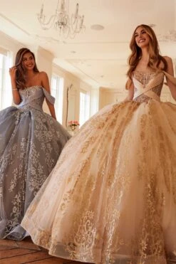 Juliet JT1488H Royal Princess A-Line Ball Gown Quinceanera(Juliet Jt1488h Royal Princess A Line Ball Gown Quinceanera) 33 Juliet JT1488H Royal Princess A-Line Ball Gown Quinceanera(Juliet Jt1488h Royal Princess A Line Ball Gown Quinceanera) -Dress Promotion Store 1488HCHAMPANGE0656