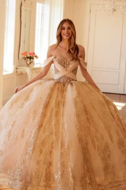 Juliet JT1488H Royal Princess A-Line Ball Gown Quinceanera(Juliet Jt1488h Royal Princess A Line Ball Gown Quinceanera) 26 Juliet JT1488H Royal Princess A-Line Ball Gown Quinceanera(Juliet Jt1488h Royal Princess A Line Ball Gown Quinceanera) -Dress Promotion Store 1488HCHAMPANGE0666