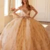 Juliet JT1488H Royal Princess A-Line Ball Gown Quinceanera(Juliet Jt1488h Royal Princess A Line Ball Gown Quinceanera) -Dress Promotion Store 1488HCHAMPANGE0667
