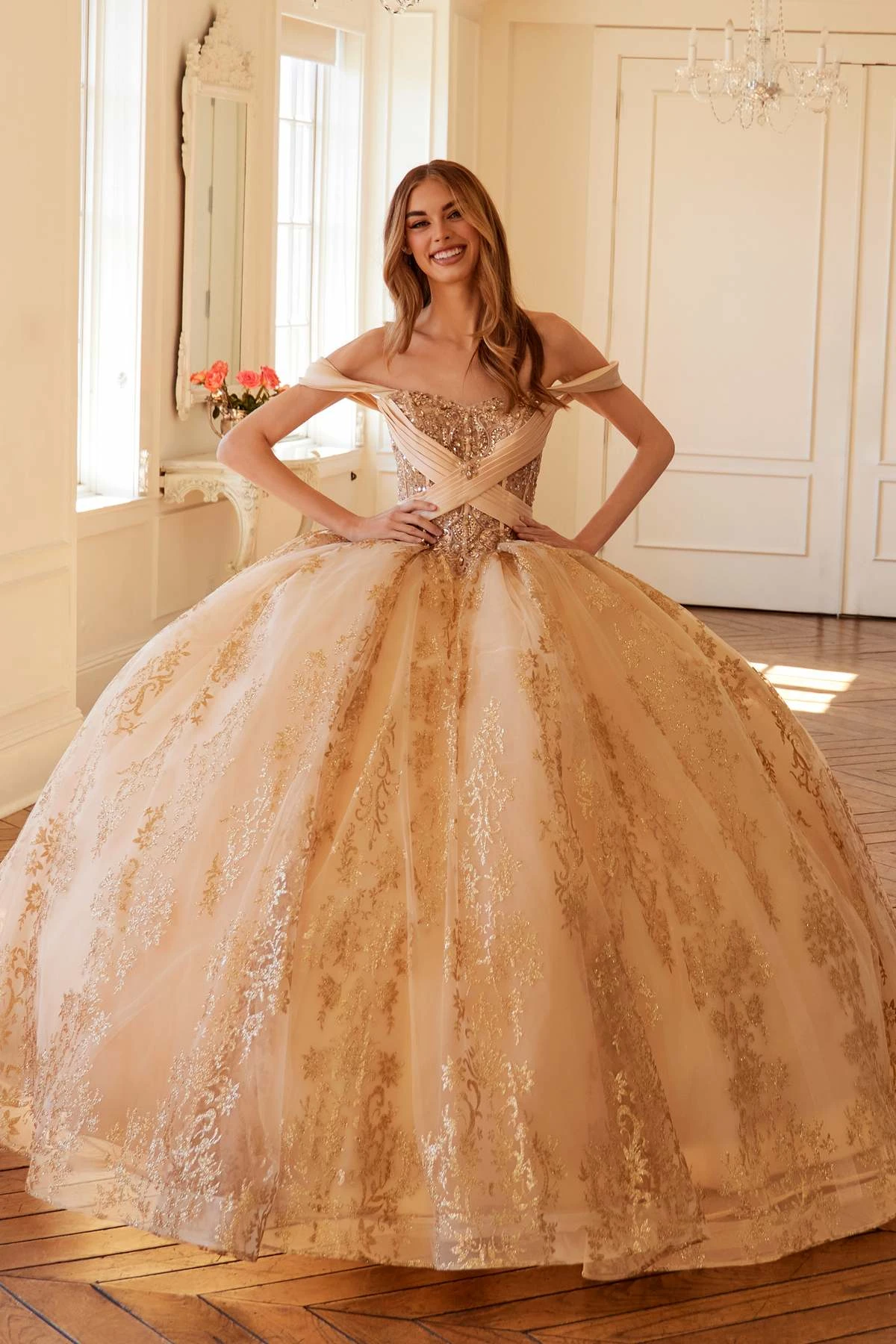 Juliet JT1488H Royal Princess A-Line Ball Gown Quinceanera(Juliet Jt1488h Royal Princess A Line Ball Gown Quinceanera) 3 Juliet JT1488H Royal Princess A-Line Ball Gown Quinceanera(Juliet Jt1488h Royal Princess A Line Ball Gown Quinceanera)