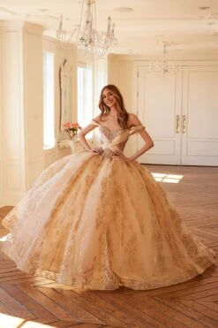 Juliet JT1488H Royal Princess A-Line Ball Gown Quinceanera(Juliet Jt1488h Royal Princess A Line Ball Gown Quinceanera) 28 Juliet JT1488H Royal Princess A-Line Ball Gown Quinceanera(Juliet Jt1488h Royal Princess A Line Ball Gown Quinceanera) -Dress Promotion Store 1488HCHAMPANGE0698