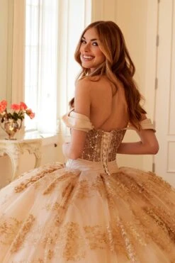 Juliet JT1488H Royal Princess A-Line Ball Gown Quinceanera(Juliet Jt1488h Royal Princess A Line Ball Gown Quinceanera) 29 Juliet JT1488H Royal Princess A-Line Ball Gown Quinceanera(Juliet Jt1488h Royal Princess A Line Ball Gown Quinceanera) -Dress Promotion Store 1488HCHAMPANGE0708