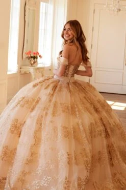 Juliet JT1488H Royal Princess A-Line Ball Gown Quinceanera(Juliet Jt1488h Royal Princess A Line Ball Gown Quinceanera) 30 Juliet JT1488H Royal Princess A-Line Ball Gown Quinceanera(Juliet Jt1488h Royal Princess A Line Ball Gown Quinceanera) -Dress Promotion Store 1488HCHAMPANGE0709