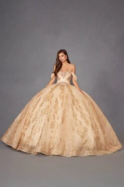 Juliet JT1488H Royal Princess A-Line Ball Gown Quinceanera(Juliet Jt1488h Royal Princess A Line Ball Gown Quinceanera) 38 Juliet JT1488H Royal Princess A-Line Ball Gown Quinceanera(Juliet Jt1488h Royal Princess A Line Ball Gown Quinceanera) -Dress Promotion Store 1488HGOLD 1