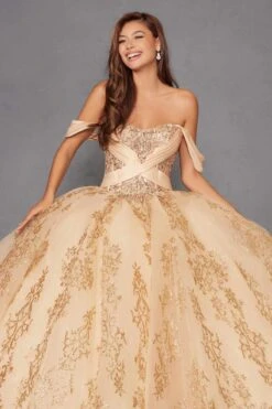 Juliet JT1488H Royal Princess A-Line Ball Gown Quinceanera(Juliet Jt1488h Royal Princess A Line Ball Gown Quinceanera) 36 Juliet JT1488H Royal Princess A-Line Ball Gown Quinceanera(Juliet Jt1488h Royal Princess A Line Ball Gown Quinceanera) -Dress Promotion Store 1488HGOLD 2