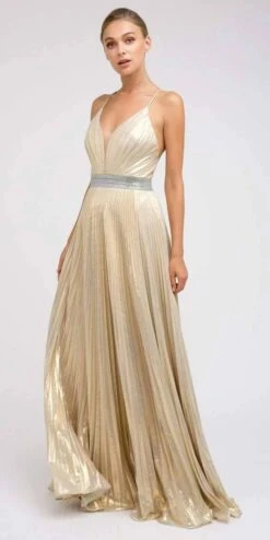 Juliet 226 Metallic Pleated Long Dress A-Line Lace-Up Back(Metallic Pleated Long Formal Gold Dress A Line Lace Up Back) 16 Juliet 226 Metallic Pleated Long Dress A-Line Lace-Up Back(Metallic Pleated Long Formal Gold Dress A Line Lace Up Back) -Dress Promotion Store 226 juliet gold b44e9760 7337 4c06 9d08 ce5046b28127
