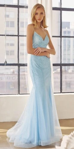 Juliet 271 Glitter Mesh Fitted Evening Gown(Glitter Mesh Fitted Evening Gown By Juliet 271)