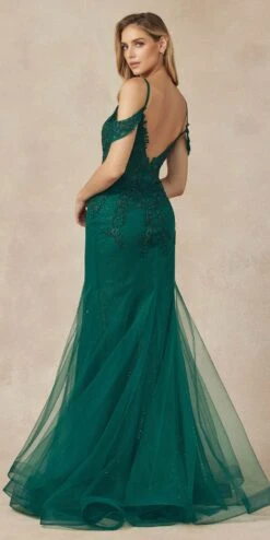 Juliet 281 Long Fully Mesh Gown Off The Shoulder Sleeves Mermaid Skirt(Juliet 281 Long Fully Mesh Gown Off The Shoulder Sleeves Mermaid Skirt) -Dress Promotion Store 281 emerald back2