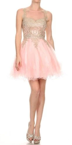 J&J Fashion 3028 Appliqued Homecoming Short Dress(Blush Appliqued Homecoming Short Dress)