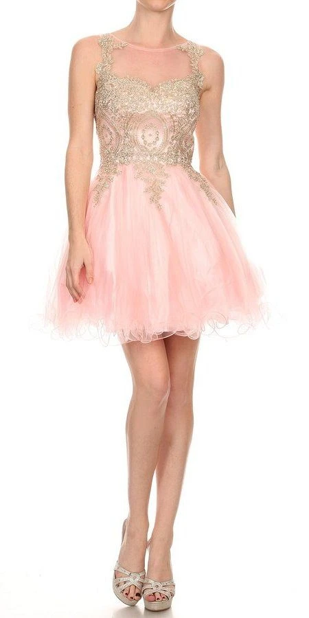 J&J Fashion 3028 Appliqued Homecoming Short Dress(Blush Appliqued Homecoming Short Dress) 3 J&J Fashion 3028 Appliqued Homecoming Short Dress(Blush Appliqued Homecoming Short Dress)