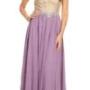 J&J Fashion 3076 Lace-Applique Bodice Long Formal Dress Sleeveless(Mauve Lace Applique Bodice Long Formal Dress Sleeveless) -Dress Promotion Store 3076 jj fashion mauve