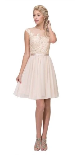 Eureka 3633 Appliqued Bodice A-Line Dress Knee-Length(Appliqued Bodice Wedding Guest A Line Dress Knee Length Mocha) -Dress Promotion Store 3633 eureka fashion champagne a1d9595e 60d7 4bf7 8eb2 20d17a76916b