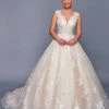 DeKlaire Bridal 480 Cap Sleeve Illusion V-Neck A-Line Wedding Ball Gown(Deklaire Bridal 480 Cap Sleeve Illusion V Neck A Line Wedding Ball Gown) -Dress Promotion Store 480 1