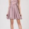 Eureka 6025 Lace Appliqued A-Line Short Dress(Lace Appliqued A Line Homecoming Short Dress Mocha)