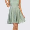 Celavie 6417 Cap Sleeve Lace A-Line Short Cocktail Dress(Cap Sleeved Sage A Line Short Homecoming Dress)