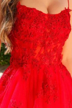 Amelia Couture 7035 Floor Length A-Line Ballgown 3D Flower Applique(Amelia Couture 7035 Floor Length A Line Ballgown 3d Flower Applique) 17 Amelia Couture 7035 Floor Length A-Line Ballgown 3D Flower Applique(Amelia Couture 7035 Floor Length A Line Ballgown 3d Flower Applique) -Dress Promotion Store 7035RED ZOOM