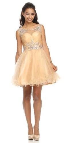 CLEARANCE - Juliet 742 Cap Sleeve Baby Doll Dress Short A-Line Poofy Tulle (Size 2XL)(Clearance Juliet 742 Cap Sleeve Baby Doll Dress Short A Line Poofy Tulle Size 2xl)