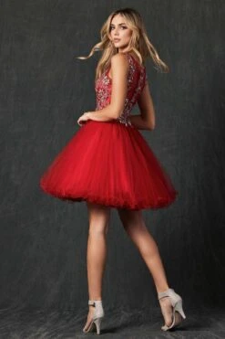Juliet 749 Poofy A Line Short Dress Tulle Embroidery(Poofy A Line Red Short Homecoming Dress Tulle Embroidery) -Dress Promotion Store 749 juliet red back