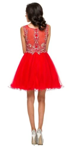 Juliet 749 Poofy A Line Short Dress Tulle Embroidery(Poofy A Line Red Short Homecoming Dress Tulle Embroidery) -Dress Promotion Store 749ju red bk 32132a53 7b31 497d b228 ff0684d93212