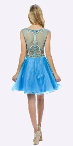 Poly USA | Ed Young 7542 Sleeveless Dress Embellished Bodice Tulle Skirt(Sleeveless Sweet Sixteen Dress Embellished Bodice Tulle Skirt Blue) -Dress Promotion Store 7542 poly usa blue back 495c1d2d 3bb6 459b 9ba2 c2ff1cdebfc8