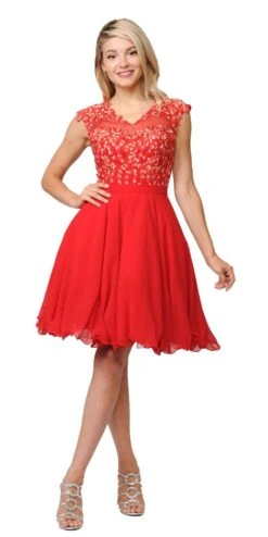 Poly USA | Ed Young 8094 Illusion V-Neck Appliqued Bodice Homecoming Short Dress(Illusion V Neck Appliqued Bodice Homecoming Short Dress Blush) -Dress Promotion Store 8094 poly usa red 5379ce9c ae5a 474b 8972 cdfd553d3050