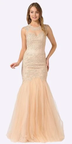 Poly USA | Ed Young 8226 Appliqued Mermaid Dress Cut-Out Back Cap Sleeve(Mauve Appliqued Mermaid Long Formal Dress Cut Out Back) -Dress Promotion Store 8226 poly usa champagne