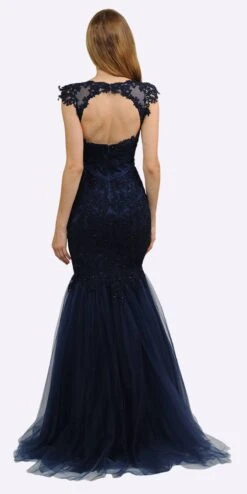 Poly USA | Ed Young 8226 Appliqued Mermaid Dress Cut-Out Back Cap Sleeve(Mauve Appliqued Mermaid Long Formal Dress Cut Out Back) -Dress Promotion Store 8226 poly usa navy blue back