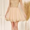 Juliet 835 Short Tulle A-Line Dress Lace Applique Bodice(Short Tulle A Line White Gold Homecoming Dress Lace Applique Bodice) -Dress Promotion Store 835 Champagne 1