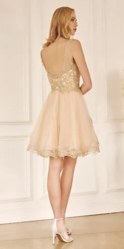 Juliet 835 Short Tulle A-Line Dress Lace Applique Bodice(Short Tulle A Line White Gold Homecoming Dress Lace Applique Bodice) -Dress Promotion Store 835 Champagne 3