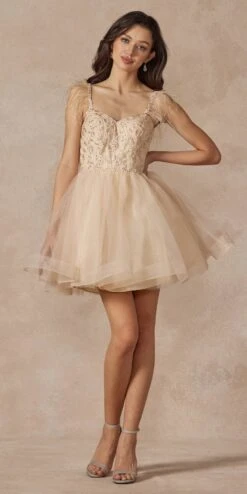 Juliet 881 Feather Straps Sheer Bodice Short A-line Tulle Dress(Juliet 881 Feather Straps Sheer Bodice Short A Line Tulle Dress) -Dress Promotion Store 881 champagne