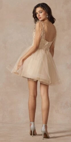 Juliet 881 Feather Straps Sheer Bodice Short A-line Tulle Dress(Juliet 881 Feather Straps Sheer Bodice Short A Line Tulle Dress) -Dress Promotion Store 881 champagne back