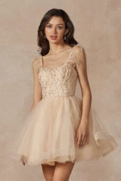 Juliet 881 Feather Straps Sheer Bodice Short A-line Tulle Dress(Juliet 881 Feather Straps Sheer Bodice Short A Line Tulle Dress) -Dress Promotion Store 881 champagne zoom