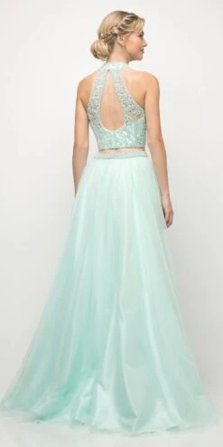 Cinderella Divine 8994 Beaded Bodice 2 Piece Halter Ball Gown Long(Beaded Bodice 2 Piece Halter Ball Gown Long Mint) -Dress Promotion Store 8994 cinderella divine mint back
