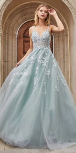 Andrea & Leo A0892 Sheer-Midriff Floral Embroidered Glitter Ball Gown(Sheer Midriff Appliqued Long Prom Dress Sage Green)