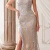Andrea & Leo A1256 Long Strapless Embellished Silver/Nude Gown(Andrea Leo A1256 Long Strapless Embellished Silver Nude Gown) -Dress Promotion Store A1256 silvernude 1