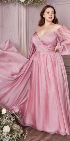 Cinderella Divine CD243C Long Sleeve A-Line Chiffon Dress(Long Sleeve A Line Dress By Cinderella Divine Cd243c) -Dress Promotion Store CD243C petalblush