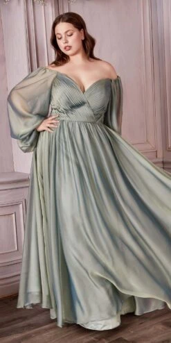 Cinderella Divine CD243C Long Sleeve A-Line Chiffon Dress(Long Sleeve A Line Dress By Cinderella Divine Cd243c) -Dress Promotion Store CD243C sage
