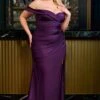 Ladivine CD790C Dress Off The Shoulder Stretch Spandex Curve Gown(Ladivine Cd790c Dress Off The Shoulder Stretch Spandex Curve Gown) -Dress Promotion Store CD790C EGGPLANT FRONT