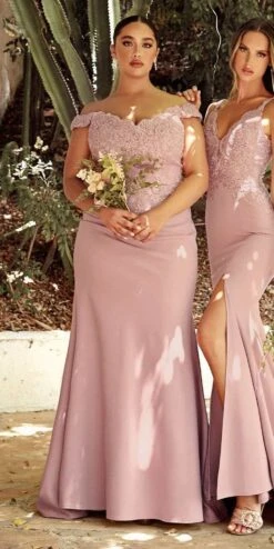 Cinderella Divine CF158 Off Shoulder Floor Length Evening Gown Applique Bodice(Cinderella Divine Cf158 Eggplant Off Shoulder Floor Length Evening Gown Applique Bodice) -Dress Promotion Store CF158 cinderella divine dusty rose plus 7aa1f89a 80f3 42c7 8b67 8d6bb52a4dbd