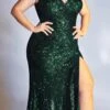 Cinderella Divine CH198C Fitted Sequin Evening Gown Gathered Waist(Plus Size Fitted Sequin Burgundy Evening Gown Gathered Waist V Neckline Cap Sleeves Slit) -Dress Promotion Store CH198 cinderella divine emerald plus