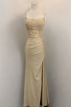 Eureka EK129 Long Boat Neckline Fitted Floral Applique Gown(Eureka Ek129 Long Boat Neckline Fitted Floral Applique Gown) -Dress Promotion Store EK129 champagne