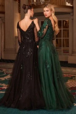 Ladivine J883 Mother Of The Bride A-Line Ball Gown Long Sleeve(Ladivine J883 Mother Of The Bride A Line Ball Gown Long Sleeve) -Dress Promotion Store J883 BLACK EMERALD BACK
