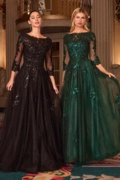 Ladivine J883 Mother Of The Bride A-Line Ball Gown Long Sleeve(Ladivine J883 Mother Of The Bride A Line Ball Gown Long Sleeve) -Dress Promotion Store J883 BLACK EMERALD FRONT