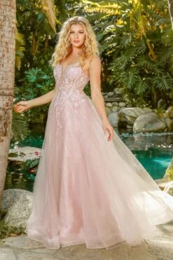 Nox Anabel T449 Floral Embellished Beaded Bodice A-Line Gown(Floral Embellished Beaded Bodice Blush A Line Ball Gown) -Dress Promotion Store T449 nox anabel blush gallery